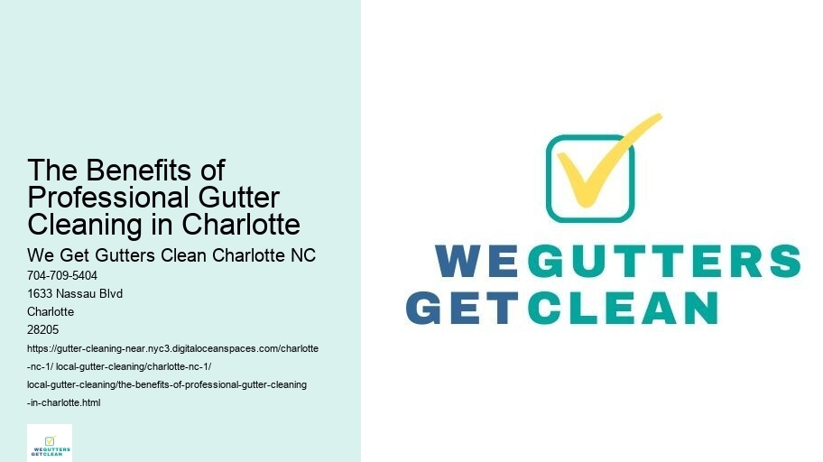 The Benefits of Professional Gutter Cleaning in Charlotte 